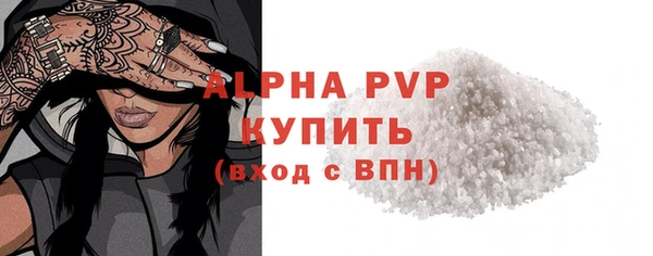 хмурый Верея