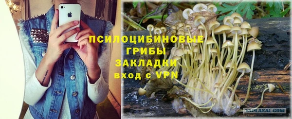 хмурый Верея