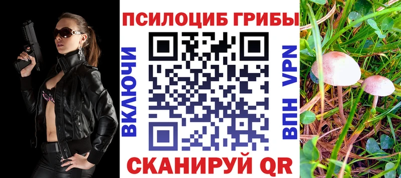 Псилоцибиновые грибы Psilocybine cubensis  Сосногорск 